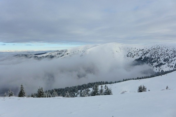 fatra fatra