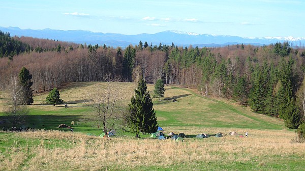 mamojkova mamojkova